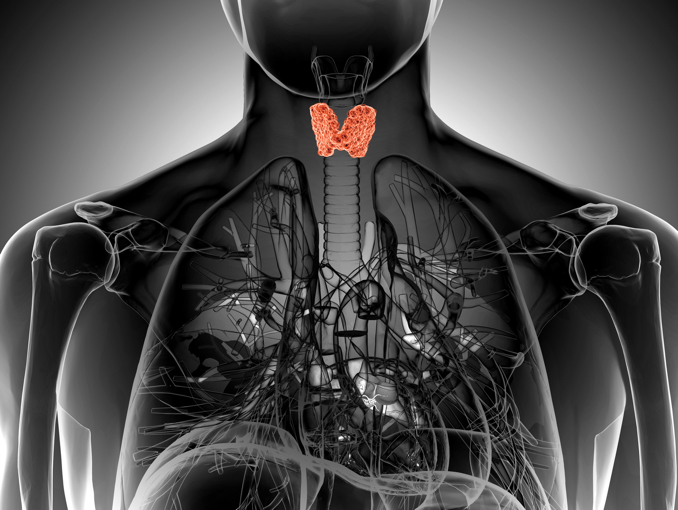 Thyroid Parathyroid Surgery